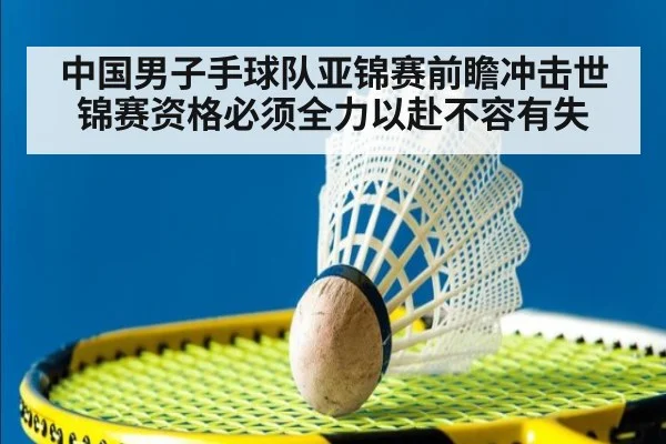 中国男子手球队亚锦赛前瞻冲击世锦赛资格必须全力以赴不容有失
